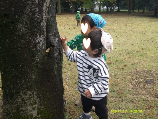 つくば市ルンルン保育園春日🍁秋を満喫中🎵