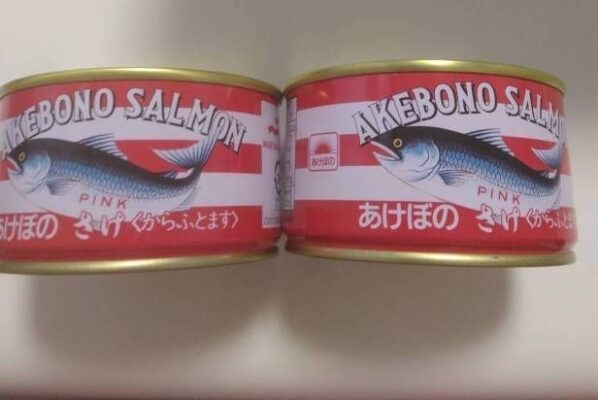 つくば市ルンルン保育園春日🐠からふとます鮭のスープ🍜